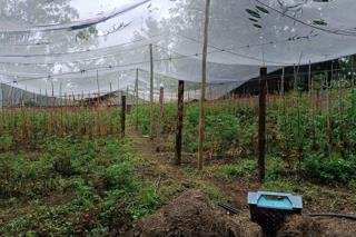 Commercial Property for Sale in Koppies Rural Free State